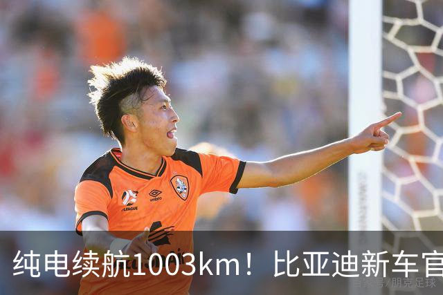 纯电续航1003km！比亚迪新车官宣，10月26日开启小订
